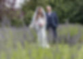 Bride-and-groom-amongst-the-lavendar-at-Langtons-House