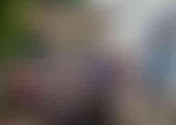 Wedding drinks reception on the patio with garden tables and parasols at Sturmer Hall