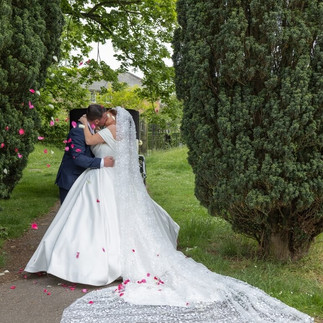 Bride and groom kissing between two trees with flower petal confetti floating in from the side