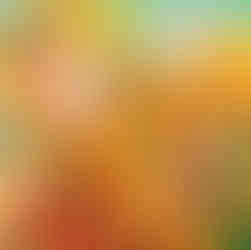 Hybrid daisies in various orange tones