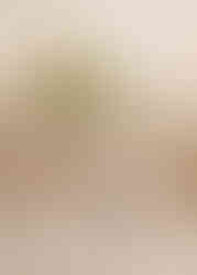 White wedding table decorations with flowers at The Fennes