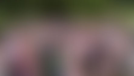 The Roots of H N Photography - Part 3