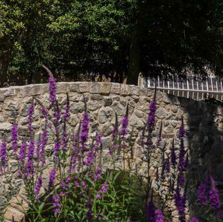 Bridge and flowers at Langtons