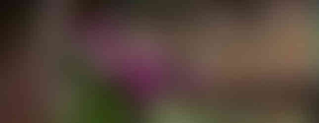 Close up of wedding flower decoration on the gazebo at Great Lodge