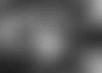 Bride makes her church entrance with her two dogs