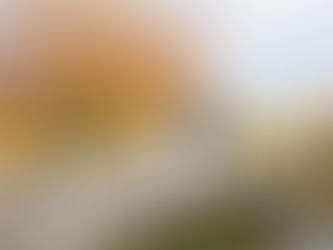 Golden hour wedding photo at The Fennes