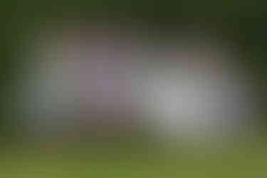 Bride on garden bench with bridesmaids in mint green tea dresses, maid of honour in mauve and flower girl in pale lilac standing behind her