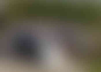 Small wedding party in the sunshine