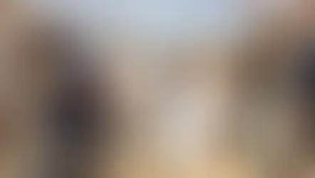 Wedding confetti at Braintree Town Hall