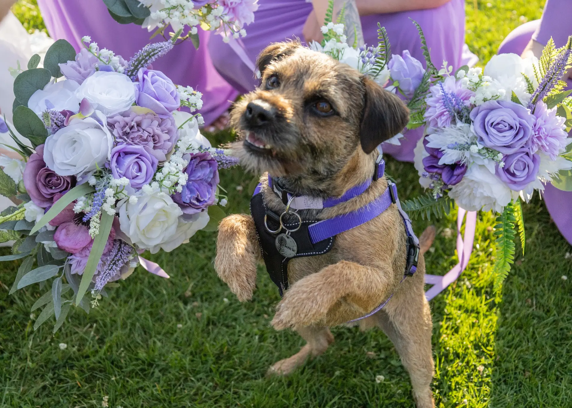 Bowie the dog surrounded by bridesmaids bouquets at The Fennes