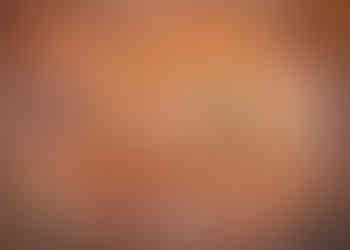 Wedding rings posed together on a brick surface