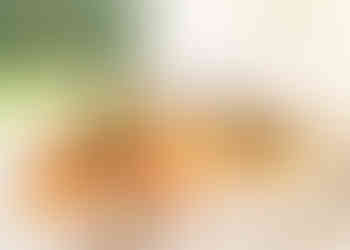 Wedding breakfast fruit salad bar at Prested Hall