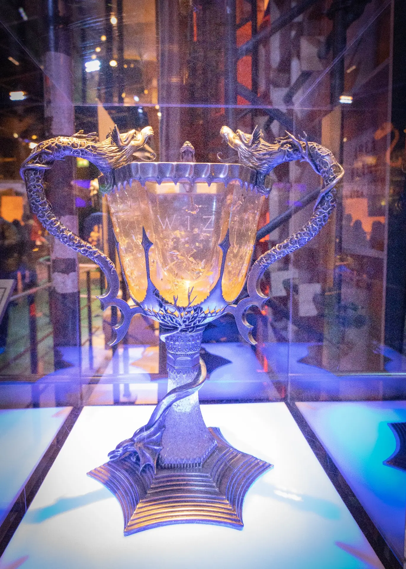 Tri-wizard tournament cup punch bowl idea