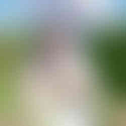 Cressing Templ Barns wedding photo of bride with lace parasol in the walled gardens