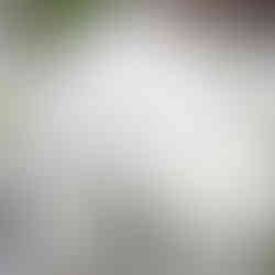 Close up of white carnation buttonholes