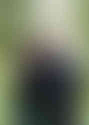 Bride and groom underneath the willow trees at Prested Hall