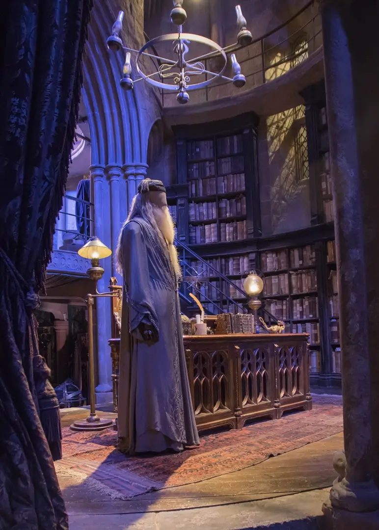 Professor Dumbledore outfit