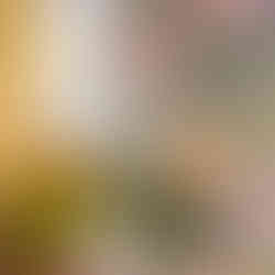 Pastel roses and gypsophilia flower arch in church