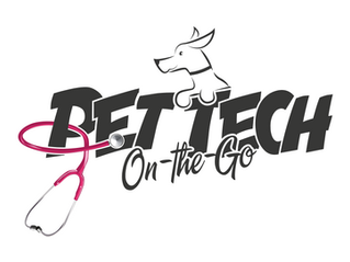 Companion Care Beyond the Human Touch: Why Pet Tech On-The-Go Matters in Senior Homecare