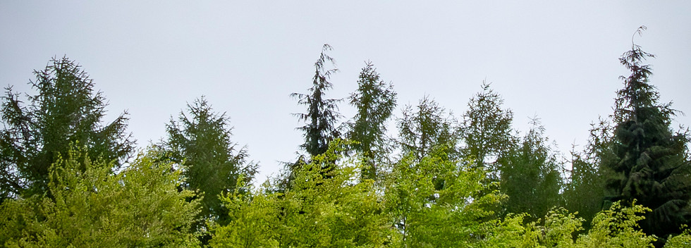 P1003171.jpg