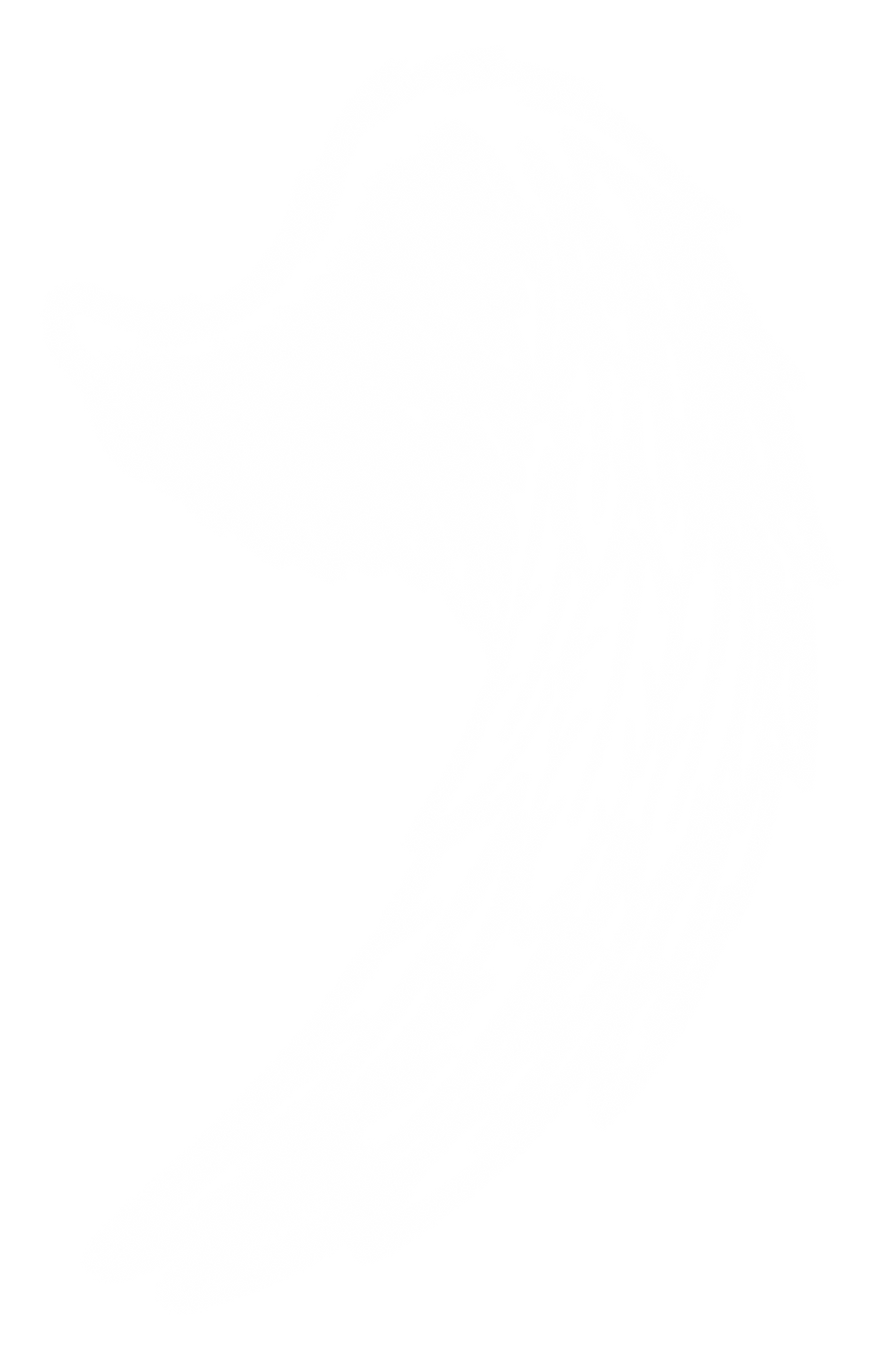 Magustry wings 2.png