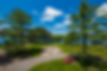 Junior Waterview at Rawley Resort Spa and Marina
