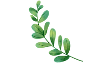 Íconos Eatly (2).png