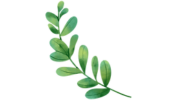 Íconos Eatly (2).png