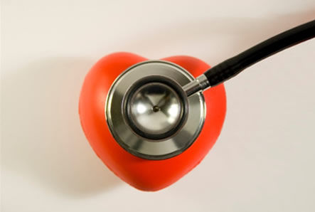 Com viure la felicitat