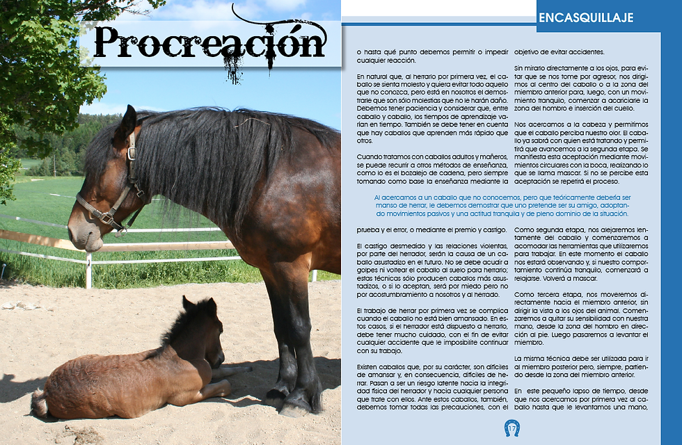 Revista Equinos