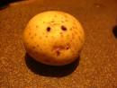 It's a bit sad about potatoes; just eat one!