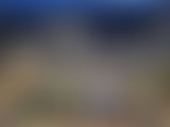 病んでなお多言語