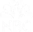 nbc.webp