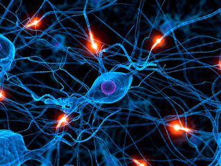 Comment l'hypnose agit sur le cerveau