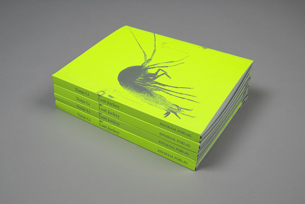 Lost Jockey_book8.jpg