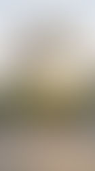 Petals, candles, and marry me sign in front of a gazebo at Meritage Resort Napa