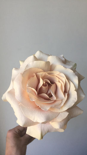 The Complete DIY Wedding Flower Checklist
