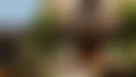 Wedding ceremony at V. Sattui Winery lawn in front of the tower with white and blush arrangements placed on wine barrels