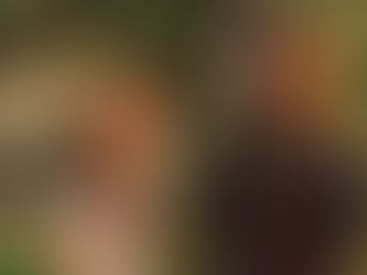 Groom wearing floral lapel feeding bride wearing a large floral headpiece a large piece of cake