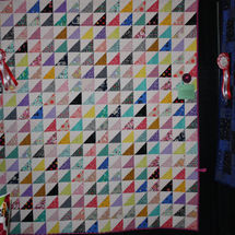 1st over 12Theresa Frampton YC3 Quilt_edited.jpg