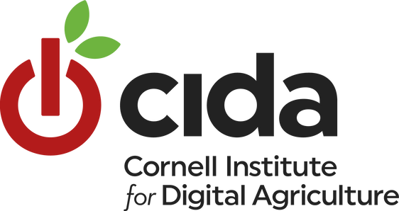cida.webp
