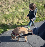 Afternoon walks