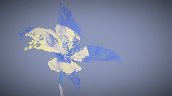 img_0867.png