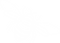 The-Jono-Smithers-Show-101019-bee-white.