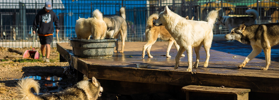 Husky Halfway House-099.jpg