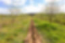 Valorizacao-agricola-7.jpg