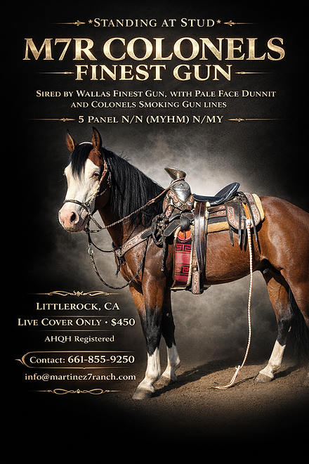 Casper Stud Sale.png