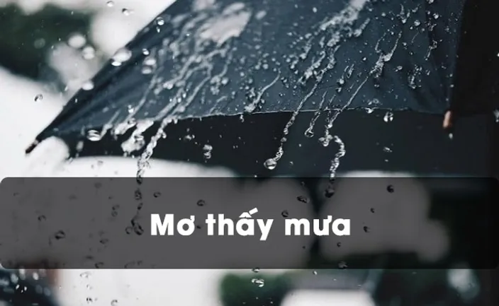 Điềm Báo khi Mơ Thấy Mưa content media