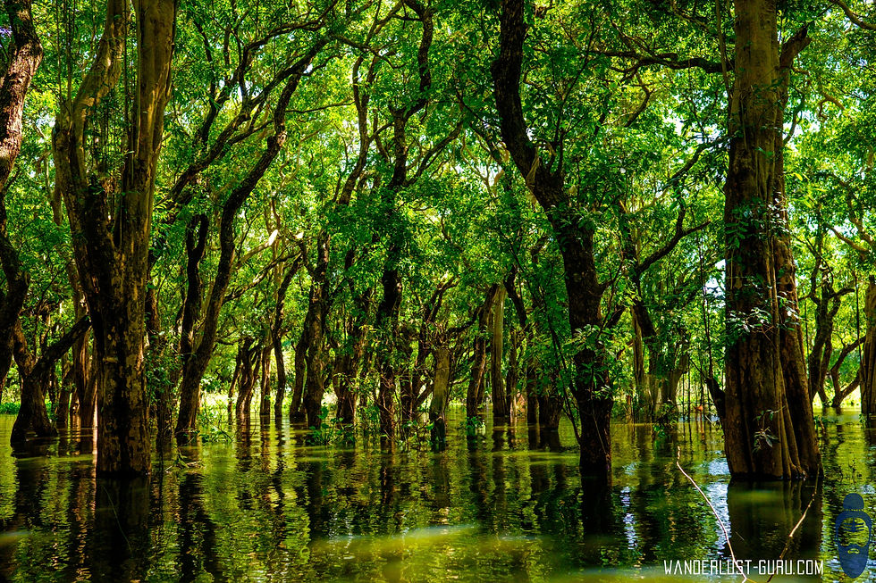 Kampong Phluk