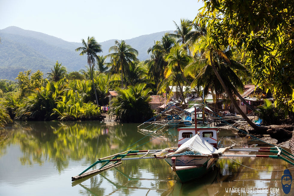 Puerto Princesa National Park